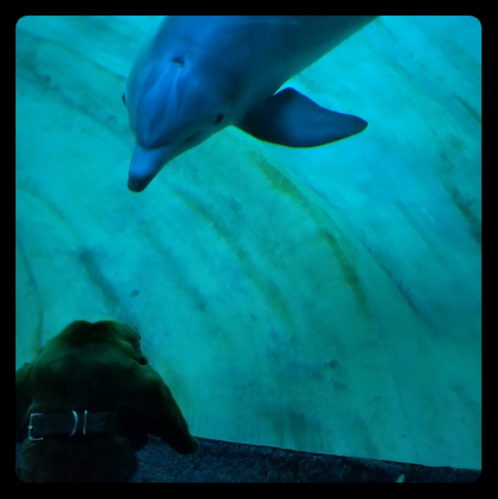 Meet your Posher, Kimberlee